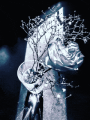 MuNaFo-mtw的gif的gif-Rosa Rossa per te