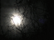 MuNaFo-mtw的gif的gif-LBR-63
