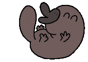CsaK的gif的gif-platypus