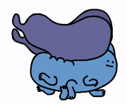 CsaK的gif的gif-blue butterfly