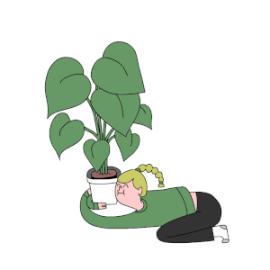 CsaK的gif的gif-love plants
