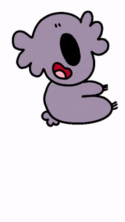 CsaK的gif的gif-koala