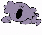 CsaK的gif的gif-koala