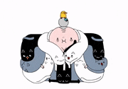 CsaK的gif的gif-crazy cat lady