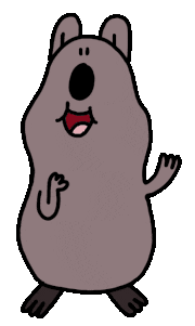 CsaK的gif的gif-quokka
