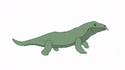 Percolate Galactic的gif的gif-Sir Komodo