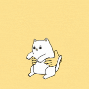 Percolate Galactic的gif的gif-Cat Stop