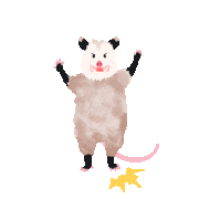 Percolate Galactic的gif的gif-Angry Possum