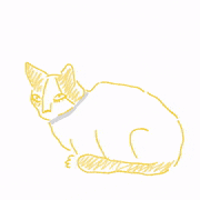 Percolate Galactic的gif的gif-The Cat Love