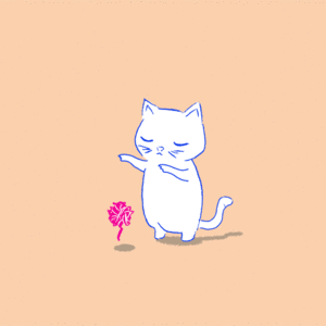 adamvanwinden的gif的gif-Sorcerer Cat