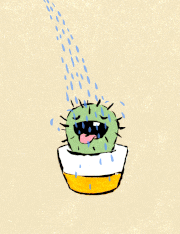 adamvanwinden的gif的gif-Cactus 
