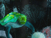 Ana Caro的gif的gif-Swimming Swimming