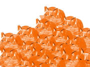 Ana Caro的gif的gif-Bunch of foxes
