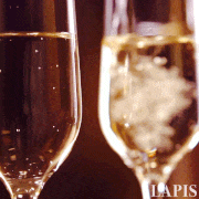 LAPIS - モードシネマグラフ的gif的gif-[No.10]Champagne [シャンパン]　LAPIS - cinemagraphs