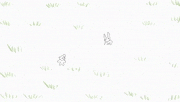 koya的gif的gif-animal 