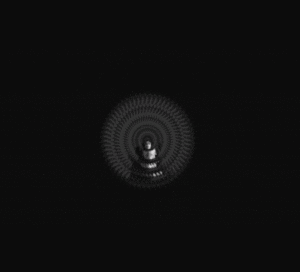 vince_fraser的gif的gif-Spinna Marley