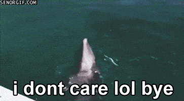 每日GIF(2020-04-28)的gif-Let It Go Laughing GIF by Cheezburger
