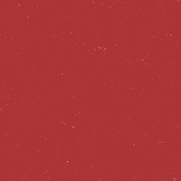 每日GIF(2020-04-28)的gif-Dennis Rodman GIF by Chicago Bulls