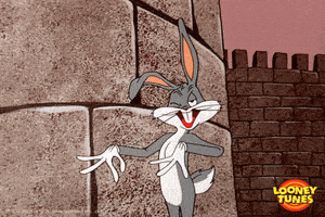脑洞大开的gif-Bugs Bunny Omg GIF by Looney Tunes