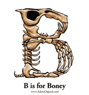 Adam Osgood的gif的gif-B is for Boney