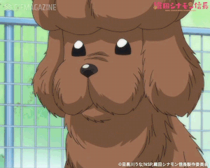 TVアニメ「織田シナモン信長」【公式】的gif的gif-テレッ