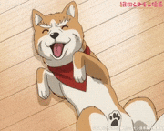 TVアニメ「織田シナモン信長」【公式】的gif的gif-ゴロゴロ