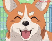 TVアニメ「織田シナモン信長」【公式】的gif的gif-あははあははあはは