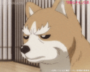 TVアニメ「織田シナモン信長」【公式】的gif的gif-キラーン
