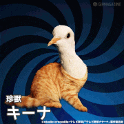 テレビ野郎 ナナーナ【公式】的gif的gif-キーナ