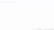 TVアニメ「この音とまれ！」【公式】的gif的gif-1、2琴