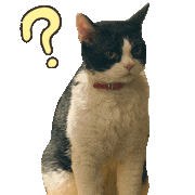 映画「旅猫リポート」【公式】的gif的gif-【ステッカー】ん？