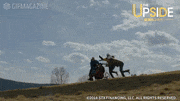 映画「THE UPSIDE／最強のふたり」【公式】的gif的gif-パラグライダー