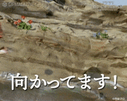 かいじゅうのすみか【公式】的gif的gif-向かってます！
