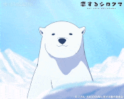 ぷちアニメ「恋するシロクマ」【公式】的gif的gif-よろしく