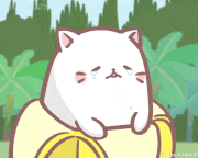 アニメ「ばなにゃ ふしぎななかまたち」【公式】的gif的gif-悲しい