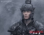 映画「SHADOW／影武者」【公式】的gif的gif-御意！