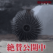 映画「SHADOW／影武者」【公式】的gif的gif-絶賛公開中
