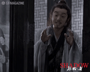映画「SHADOW／影武者」【公式】的gif的gif-まぁ落ち着け！