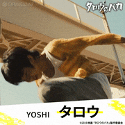 映画「タロウのバカ」【公式】的gif的gif-タロウ　CAST：YOSHI