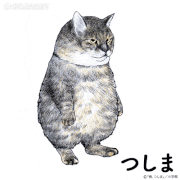 俺、つしま【公式】的gif的gif-つしま