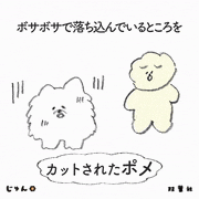もっさりもさお【公式】的gif的gif-【キャラクター紹介】カットされたポメ