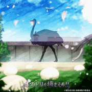 TVアニメ「胡蝶綺 ～若き信長～」【公式】的gif的gif-オストリを捕らえろ！！スクショゲーム 