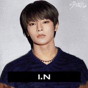 Stray Kids【公式】的gif的gif-I.N