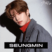 Stray Kids【公式】的gif的gif-Seungmin