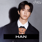 Stray Kids【公式】的gif的gif-HAN