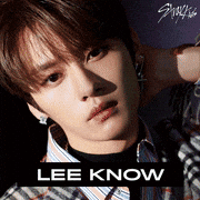 Stray Kids【公式】的gif的gif-Lee Know