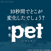 舞台「pet」-虹のある場所-【公式】的gif的gif-10秒間で1ヶ所変化！アハ体験 -ヒロキ編-