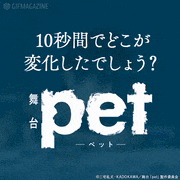 舞台「pet」-虹のある場所-【公式】的gif的gif-10秒間で1ヶ所変化！アハ体験 -司編-