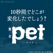 舞台「pet」-虹のある場所-【公式】的gif的gif-10秒間で1ヶ所変化！アハ体験 -悟編-