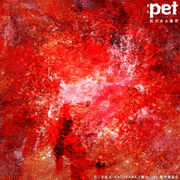 舞台「pet」-虹のある場所-【公式】的gif的gif-もうすぐ受付終了だぞ！急げ！